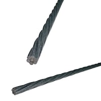 �i�`�o�o�x�@���b�Z���W���[���C���[�i�����߂����|�����j�@�i�l�r�@�Q�Q�P�O�@�@�P�O�l����