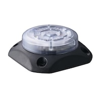 �p�g���C�g�@�t���b�V���\�����@�f�k�V�s�@�f�k�V�s�l�P�m�b�P�s