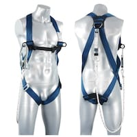 �W�F�t�R���@�n�[�l�X���S�с@�c�a�g�m�O�T�c�r