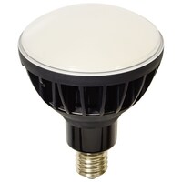 日動工業 ハイスペックエコビック50W L50V2J110BK50K