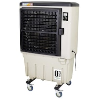 �����H�Ɓ@�C���������@�@�m�@�╗�E�����@�n�@�I�]�[���@�b�e�Q�X�O�m�n�y