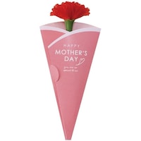 �A���t�@�@��̓��J�[�l�[�V�����i���b�Z�[�W�J�[�h�t�j�@�P�O�O�{��