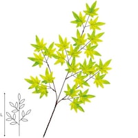 �A���t�@�@���X�v���[�@�P�O�{��