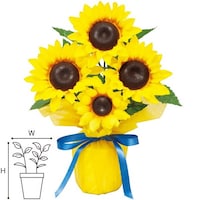 �A���t�@�@�Ђ܂��o�����[���b�s���O�|�b�g�@�R��