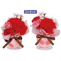 アルファ カーネーションボールPOPセット