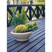 �A�C���X�I�[���}�@�����[�t�{�[���v�����^�[�@�S�T�O�@�E�H�[���x�[�W��