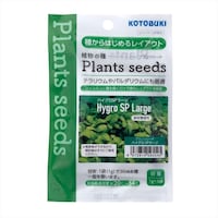 ���H�|�@�v���X�^�C���@�P�Q�O�S�T�@�u���b�N