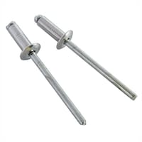 �V�����@�@�u���C���h���x�b�g�@�i�U�U�j�@�S�O�{