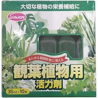 �T���A���h�z�[�v�@�ϗt�A���p���͍܁@�R�T�����w�P�O�o�@���͍܁@��p