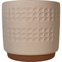 �����������@�f�B���v���|�b�g�@�v�b�P�V�R�Q�O�O�R�P�S�O�l�a�f�@�A�ؔ��@���픫