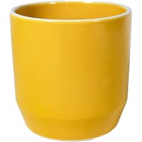 �����������@�A��@��