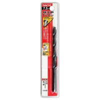 �C�g�[�@�S�H�p�h�����@�P�{���@�V���j���O�@�V�D�T����