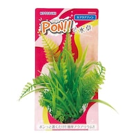 ���H�|�@�o�n�m�r�@�A�N�A�t�@��