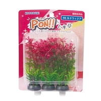 ���H�|�@�o�n�m�r�r�@���h���B�W�A