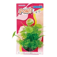 ���H�|�@�o�n�m�r�@�}�b�V�����[��