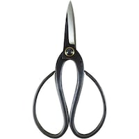 �ЎR����@�s�g�@�~�����@�c�w