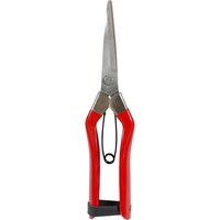 �ЎR����@�둾�Y���n������X�e�����X�Q�P�T