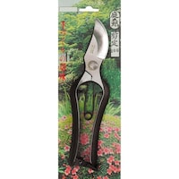 �ЎR����@�둾�Y�������a�^�@���~�Q�O�O