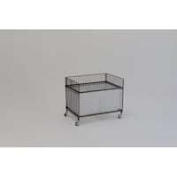 �R�P�@���C���[���S��