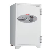 �f�B�v���}�b�g�@�A���[���t��^�ω΋��Ɂi�i���S�i�܂Łj