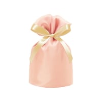 ��ށ@�I�[�K���W�[�a�`�f�@�s���N�@�P�T�O�~�P�O