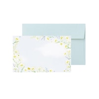 ��ށ@�~�j�J�[�h�@�G�A���[�f�C�W�[�~�P�O