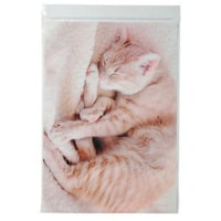 ��ށ@�W�b�p�[�o�b�O�@�����Q�˂��@���i�@�a�T�~�P�O