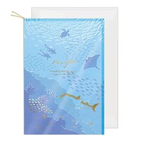 包む グリーティングカード フォーユー 海と魚たち×12