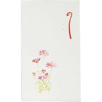 �X�Y�L���H�@�ۂ��܁@�܌^�@�@�a���|�`�܁@�T�����~�Q�O