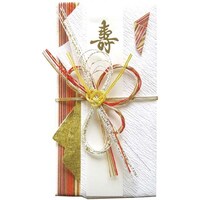 �X�Y�L���H�@�j�V�܁@�X�g���C�v�@�z���C�g�~�T