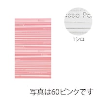 �g�c�o�o�b�O�X�g���C�v�r�U�Q�Q�P�U�r���O�P�@�P�P�[�X�i�T�O���^�܁~�T�O�܁j