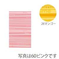 �g�c�o�o�b�O�X�g���C�v�r�U�Q�Q�P�U�r���Q�U�@�P�P�[�X�i�T�O���^�܁~�T�O�܁j