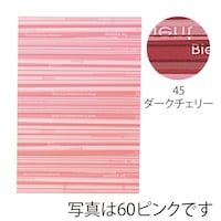 �g�c�o�o�b�O�X�g���C�v�k�U�Q�Q�P�W�k���S�T�@�P�P�[�X�i�T�O���^�܁~�T�O�܁j