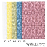 �M�t�g�o�b�O�����o�b�O�����̂͂W�R�X�P�Q�l���S�@�P�P�[�X�i�Q�O���^�܁~�P�T�O�܁j