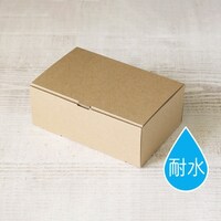 サガシキ 箱 ギフトボックス ライトプルーフ100 1ケース(50枚入/袋×2袋(合計100枚))