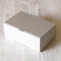 �T�K�V�L�@���@�M�t�g�{�b�N�X�@�~�X�g�O���[�@�P�P�[�X�i�T�O�����^�܁~�S�܁i���v�Q�O�O���j�j