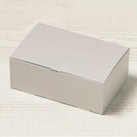 サガシキ 箱 ギフトボックス ニュートラルグレー100 1ケース(50枚入/袋×2袋(合計100枚))