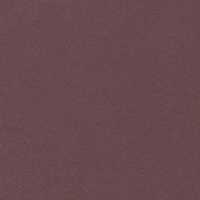 ����@�x�[�V�b�N�J�[�h�k���X�@�{���h�[�@�P�P�[�X�i�W����j