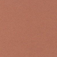 ����@�x�[�V�b�N�J�[�h�o���P�T�A���o�[�q�c�@�P�P�[�X�i�P�R����j