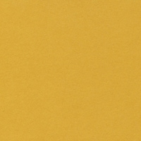 ����@�x�[�V�b�N�J�[�h�r���V�@�}�X�^�[�h�@�P�P�[�X�i�Q�S����j