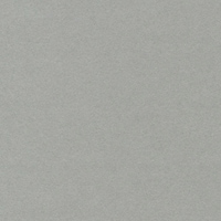 ����@�x�[�V�b�N�J�[�h�r���P�Q�@�O���[�@�P�P�[�X�i�Q�S����j