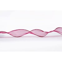 �`�M�@���{���I�[�K���W�[���{���m���P�O�q�g�f���b�h�@�P�P�[�X�i�P�Q�O�����j