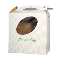 ���@�t�����[�M�t�g�{�b�N�X�@�f�W�@�P�P�[�X�i�Q�O�����j