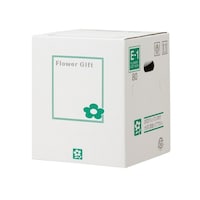 ���@�t�����[�M�t�g�{�b�N�X�@�d�P�@�P�P�[�X�i�T�O�����j