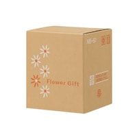 �t�����[�M�t�g�{�b�N�X�@�l�a�U�O�@�P�P�[�X�i�W�O�����j