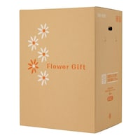 ���@�t�����[�M�t�g�{�b�N�X�@�l�a�P�U�O�q�@�P�P�[�X�i�Q�O�����j