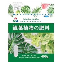 �����A�O���A�@�ϗt�A���̔엿�@�S�O�O���@�엿�@�ϗt�A���p