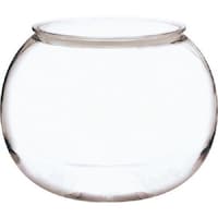 �����G�����@�o�b�e�a�R�O�O�@�{�[���i�r�j�@�t�@�C�R�O�O���g�Q�Q�T�@����Ȃ��ԕr�@�|���J