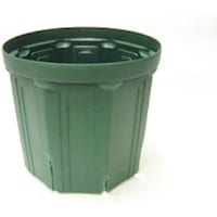 ����Y�Ɓ@�X���b�g���@���X�O���[��