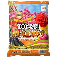 �����K�[�f�����C�g�@�������������@�V�O�O���@�엿�@�ėp